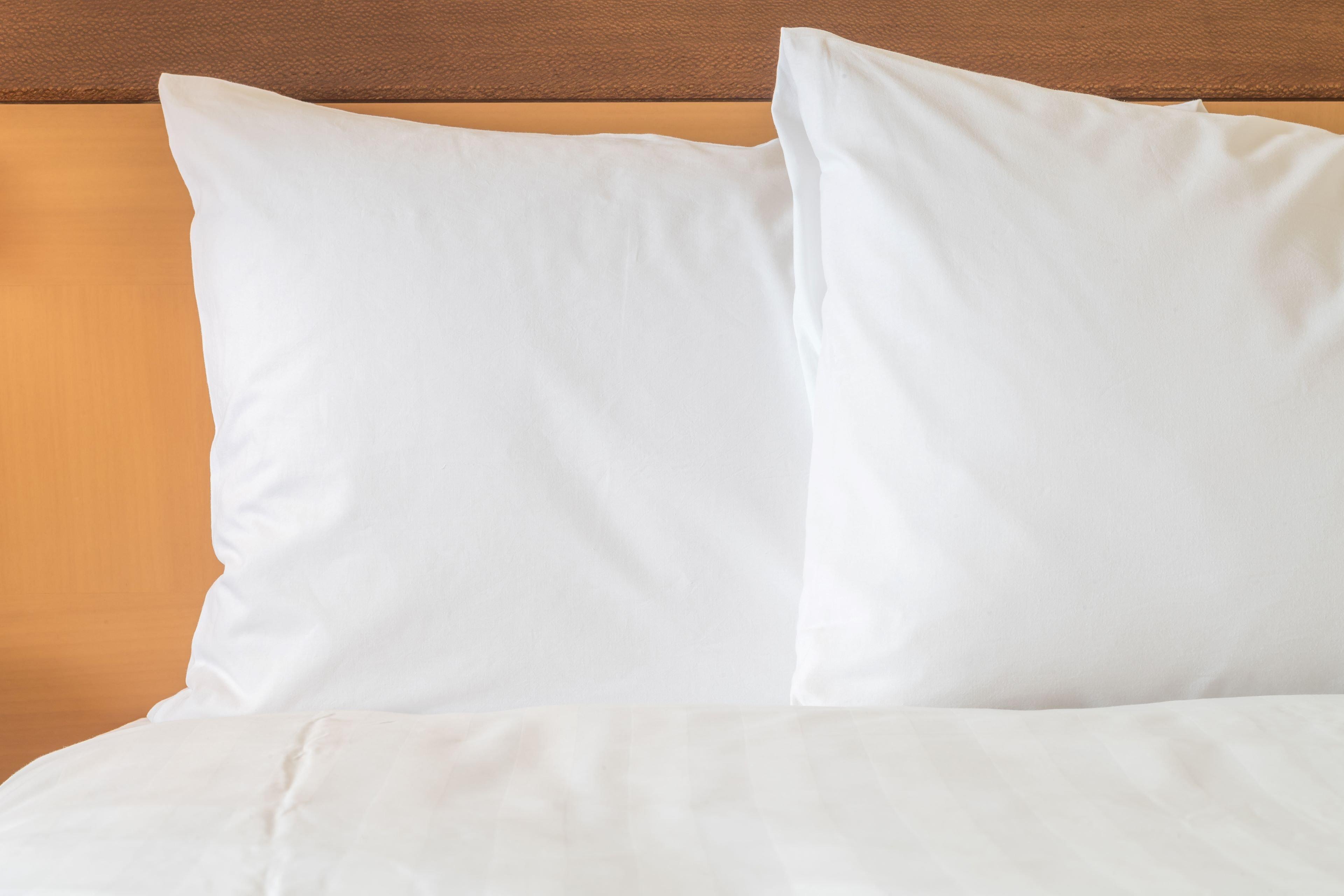 Holiday Inn & Suites Winnipeg Downtown By Ihg Eksteriør billede